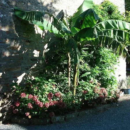 Le Clos Des Tilleuls Bed and breakfast La Vendelée